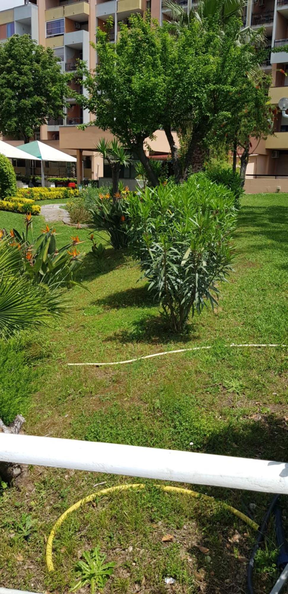 Green Oasis روما المظهر الخارجي الصورة